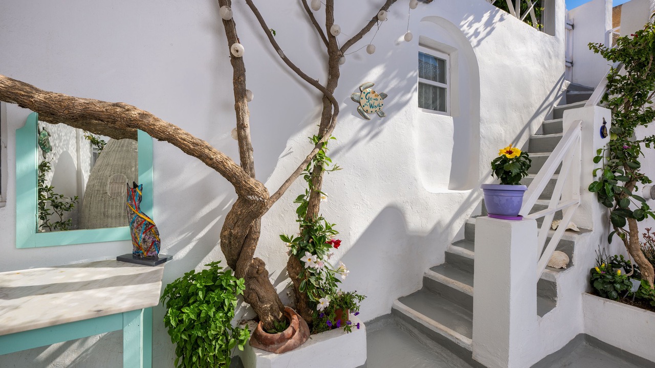 Photo of Outdoor in Oia