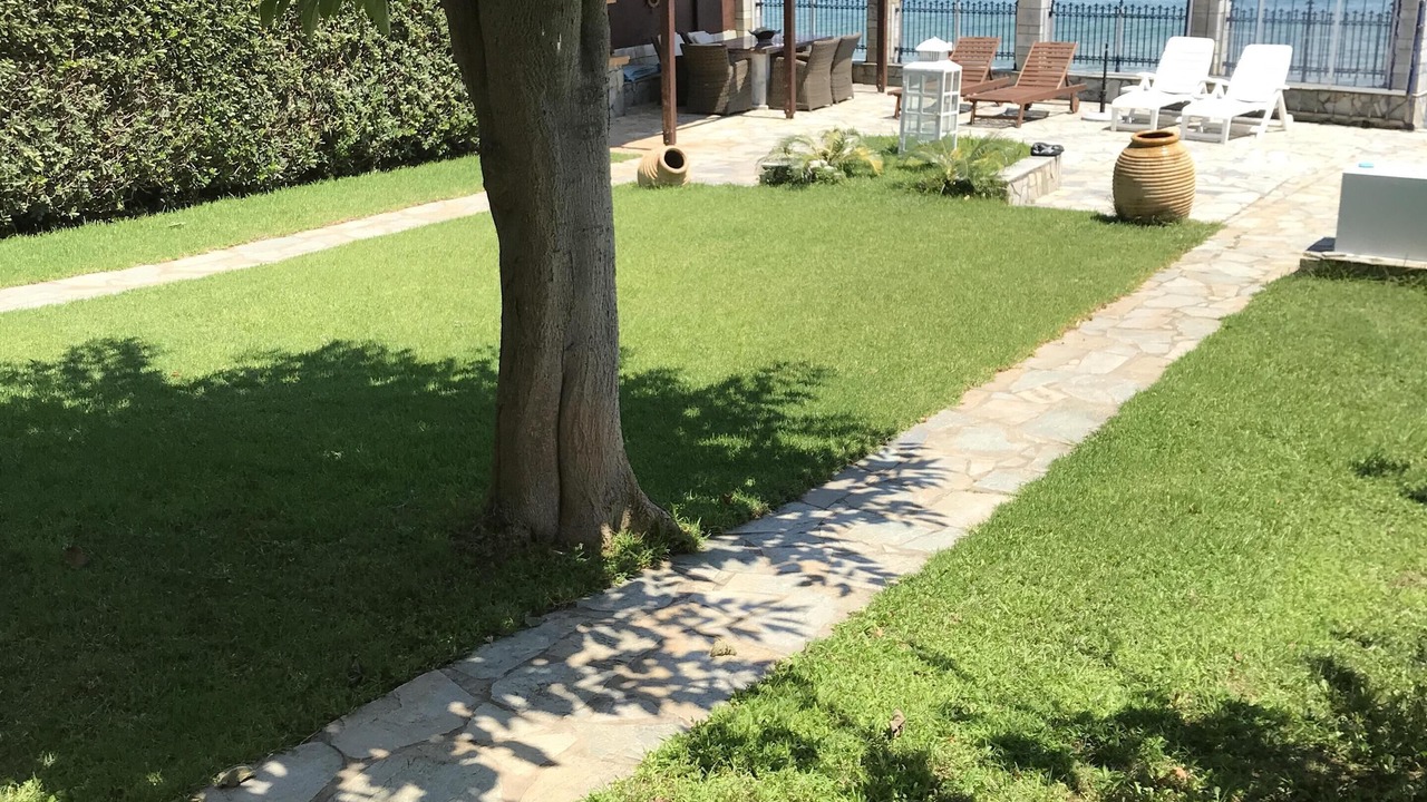 Photo of Outdoor in Longos