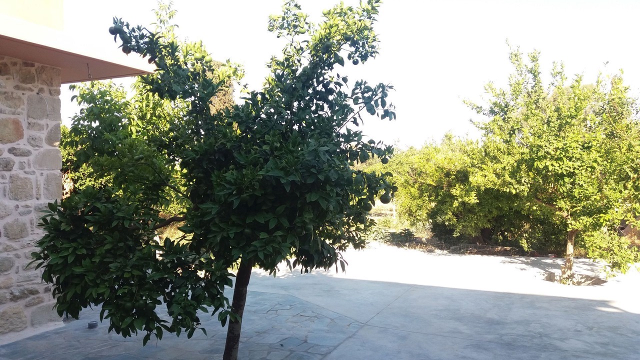 Photo of Outdoor in Faneromeni