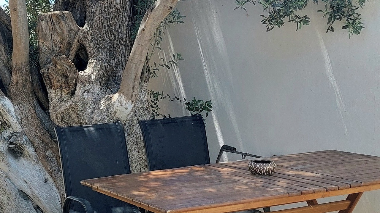 Photo of Outdoor in Sivas