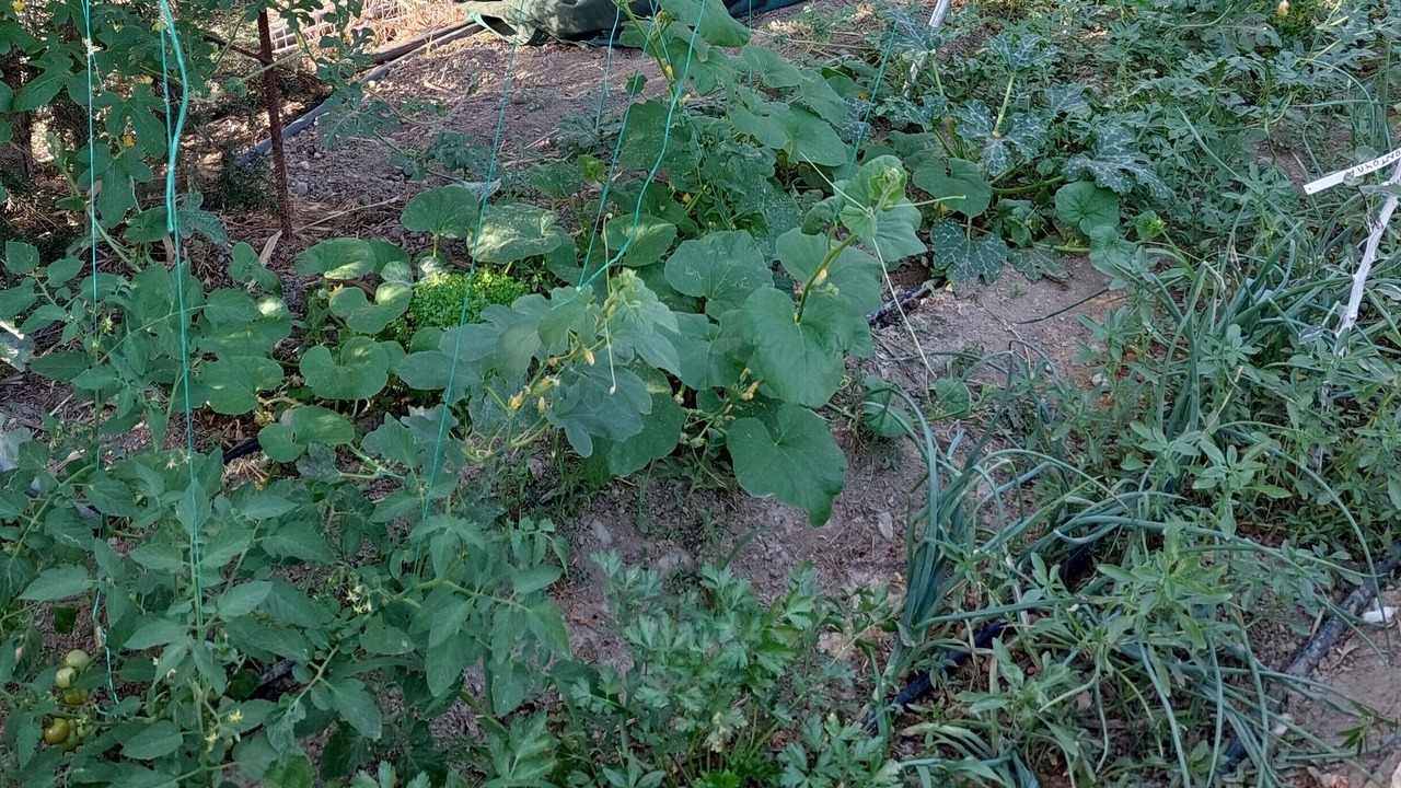 Photo of Outdoor in Sivas