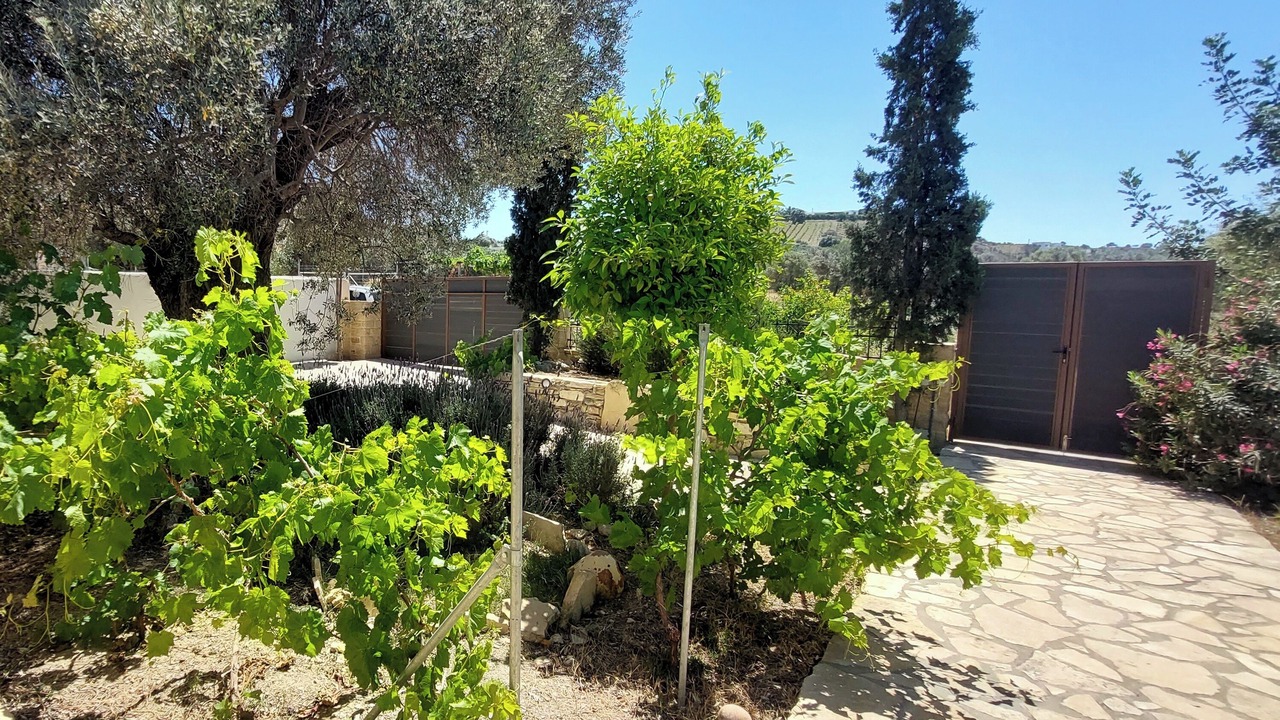 Photo of Outdoor in Sivas