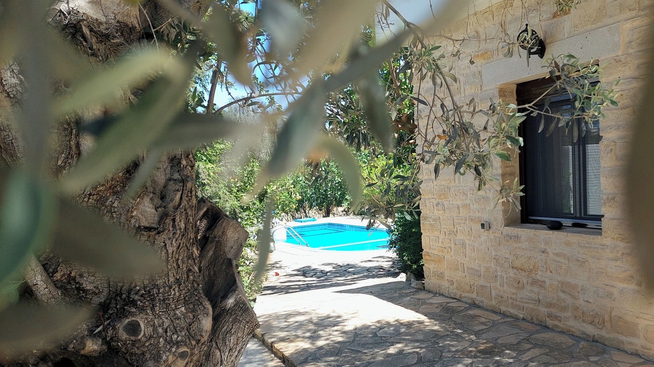 Photo of Outdoor in Sivas