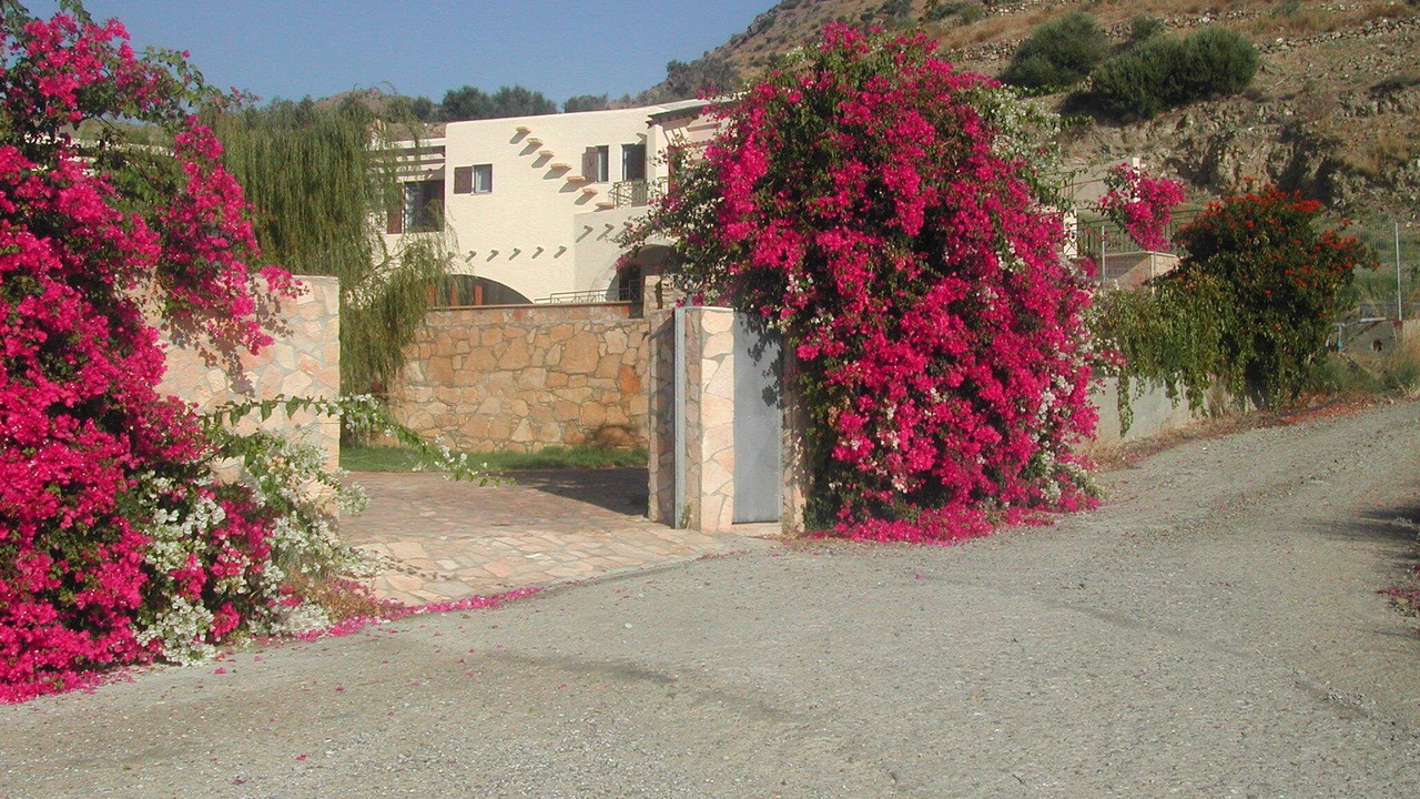 Photo of Outdoor in Agia Galini