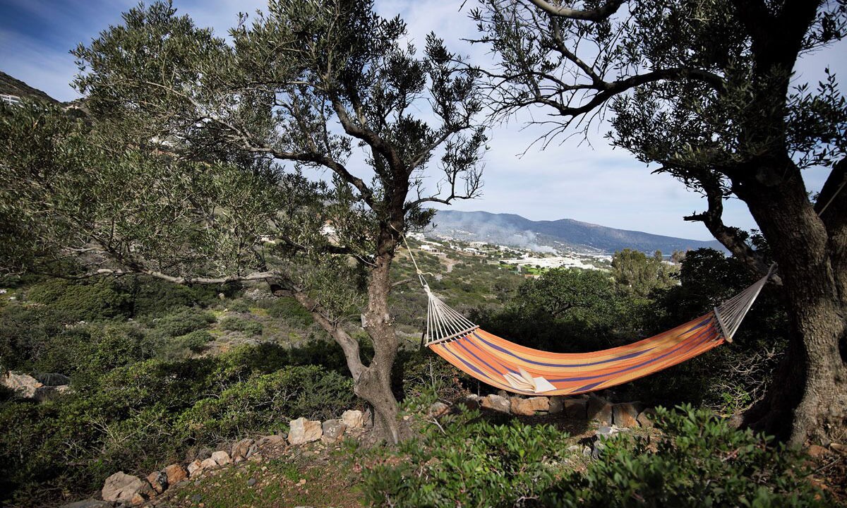 Photo of Others in Agios Nikolaos