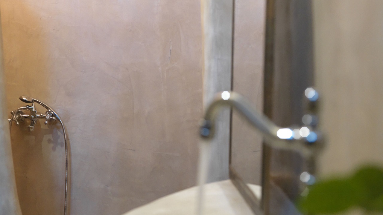 Photo of Bathroom in Exo Gonia