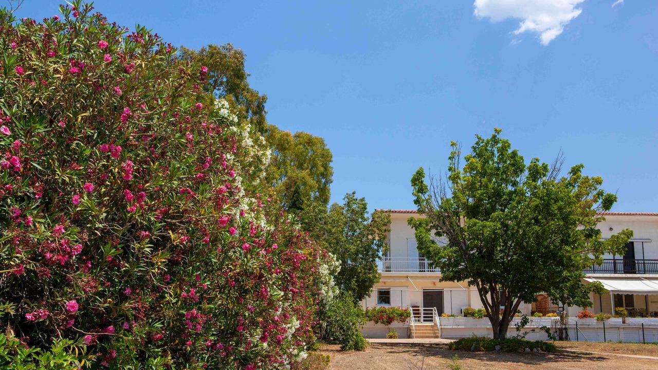 Photo of Outdoor in Melissopetra