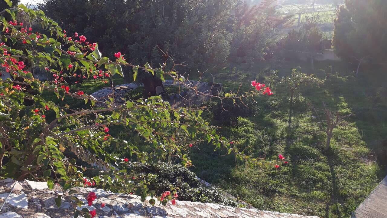 Photo of Outdoor in Kranidi