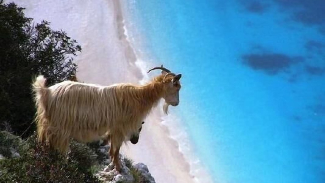 Photo of Others in Agios Vasileios