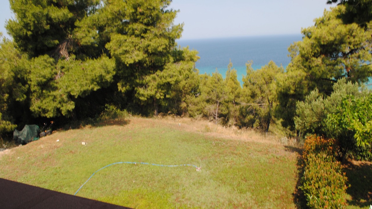 Photo of Others in Kassandra