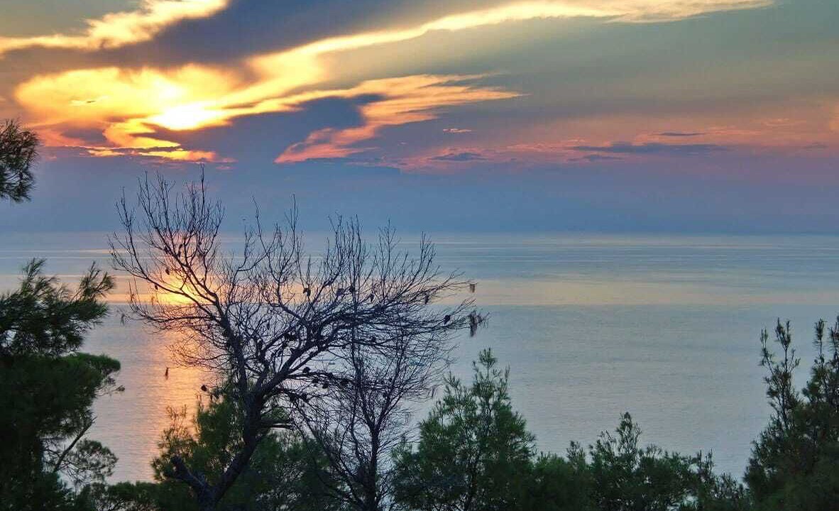 Photo of Others in Kassandra