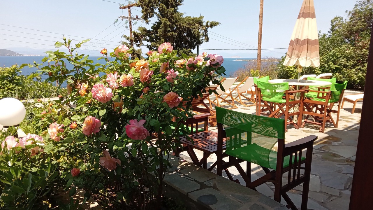 Photo of Outdoor in Kontos