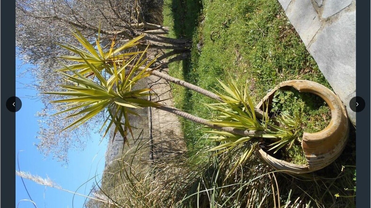 Photo of Outdoor in Armenoi