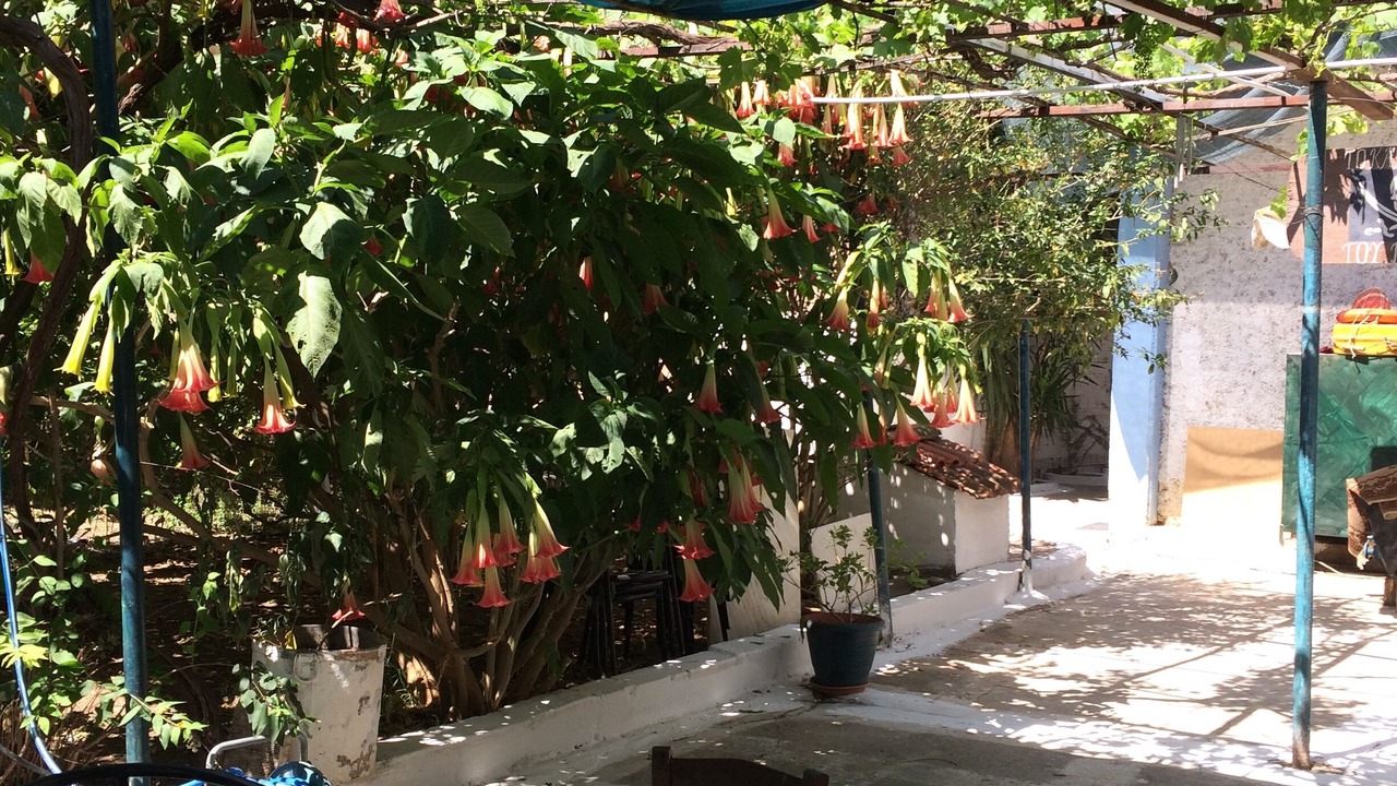 Photo of Outdoor in Nafplion City Centre