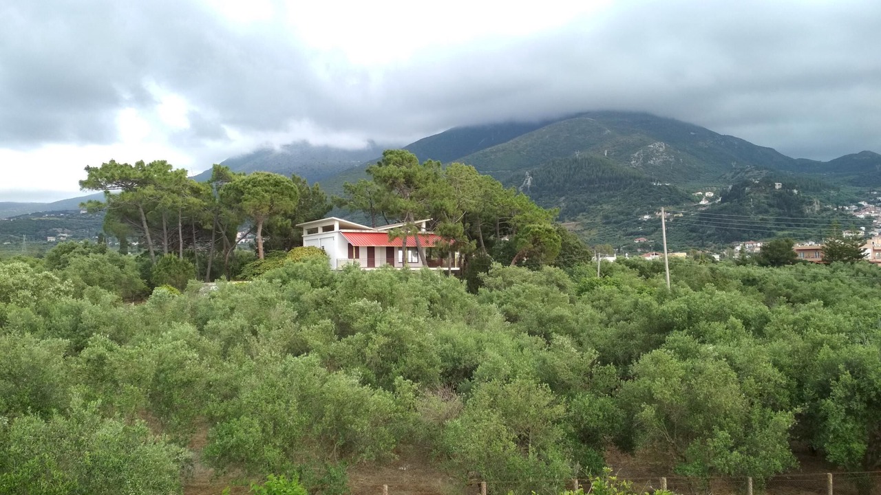 Photo of Others in Kiparissia