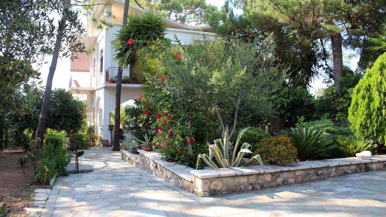 Photo of Outdoor in Kiparissia