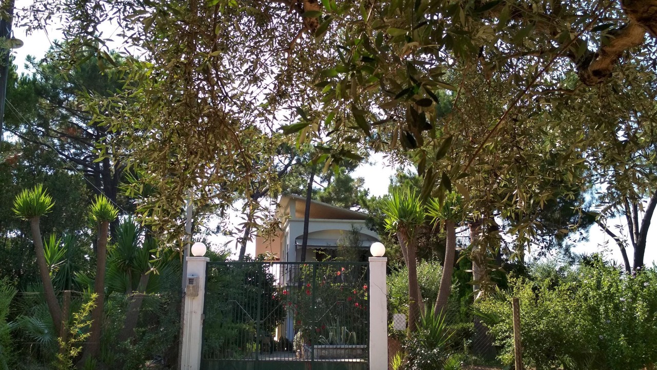 Photo of Outdoor in Kiparissia