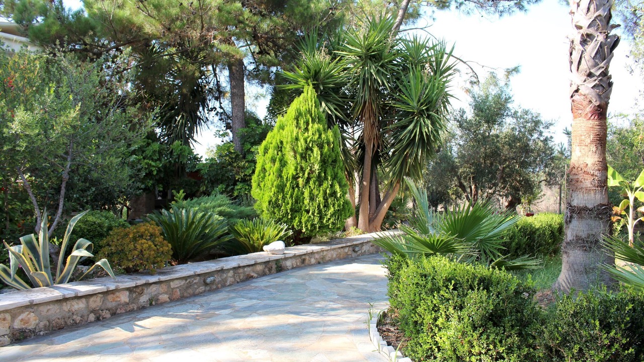 Photo of Others in Kiparissia