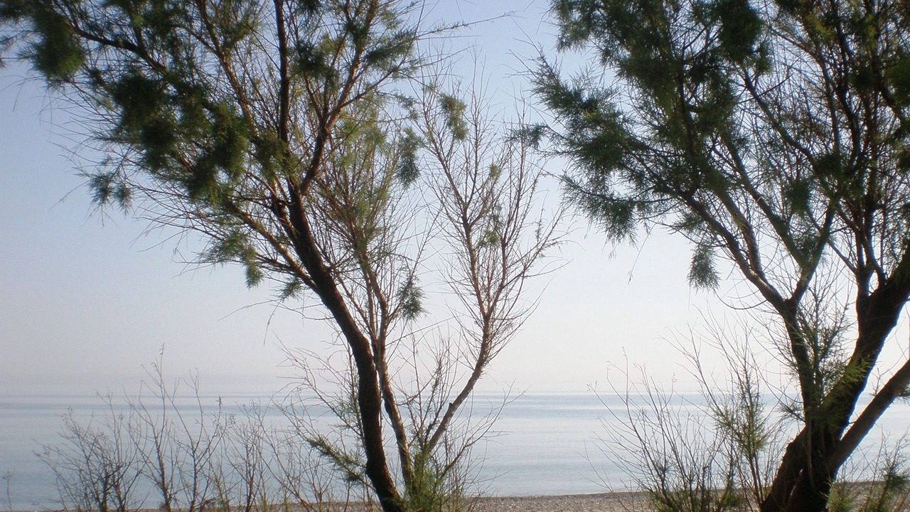 Photo of Others in Maleme