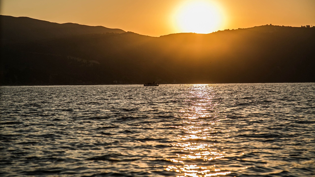 Photo of Others in Aristotelis
