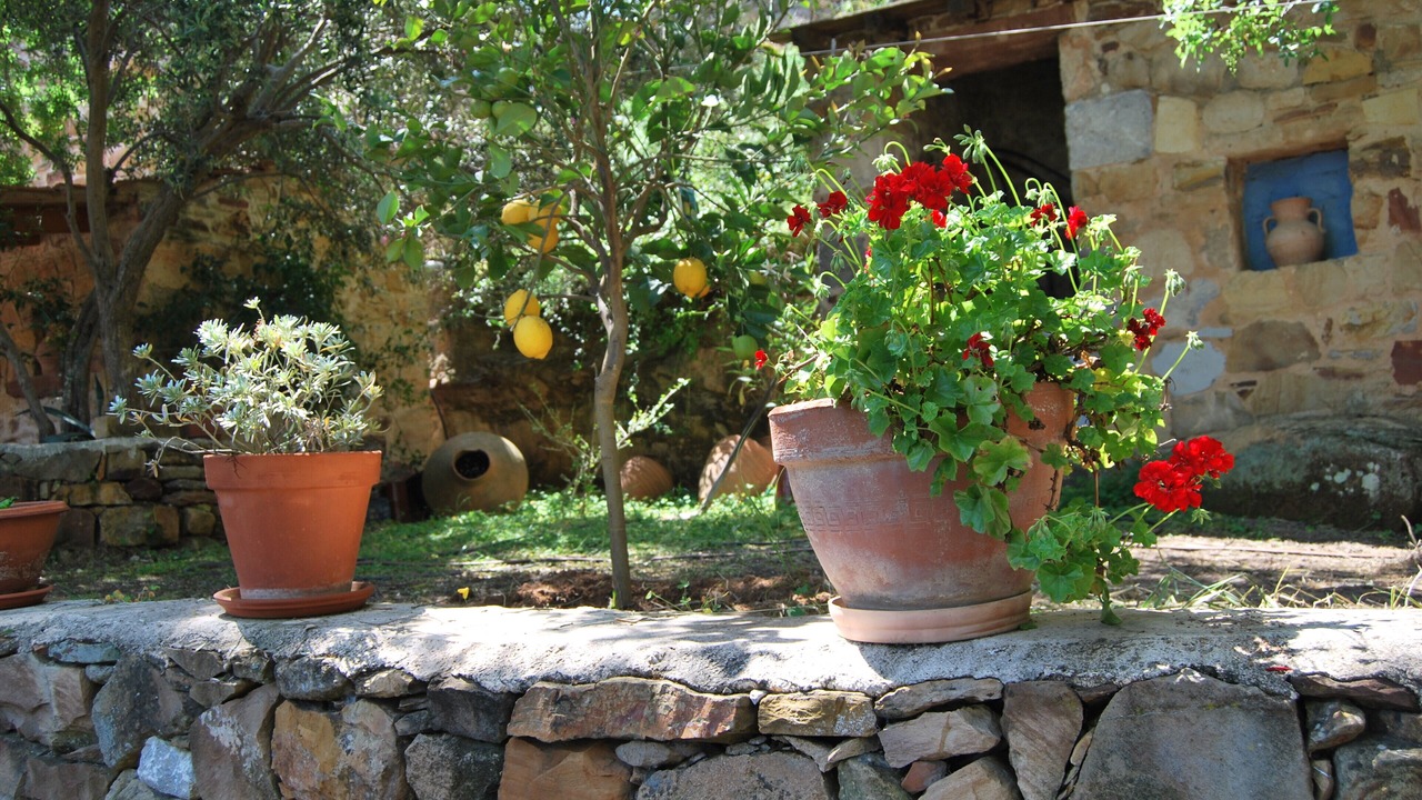 Photo of Outdoor in Karfas