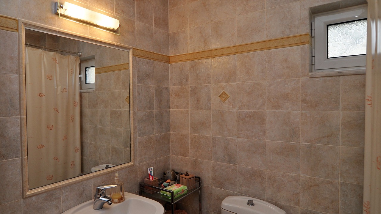 Photo of Bathroom in Theologos