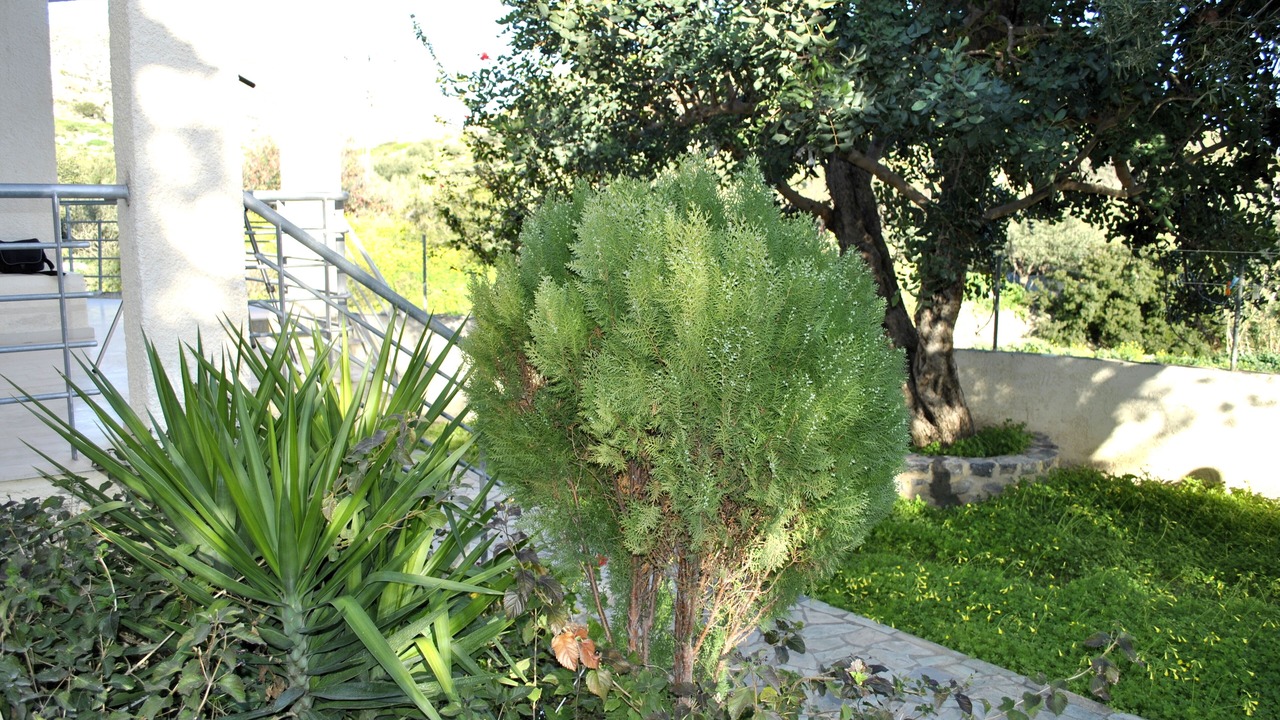 Photo of Outdoor in Kastri