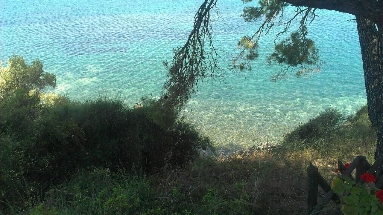 Photo of Others in Paliouri