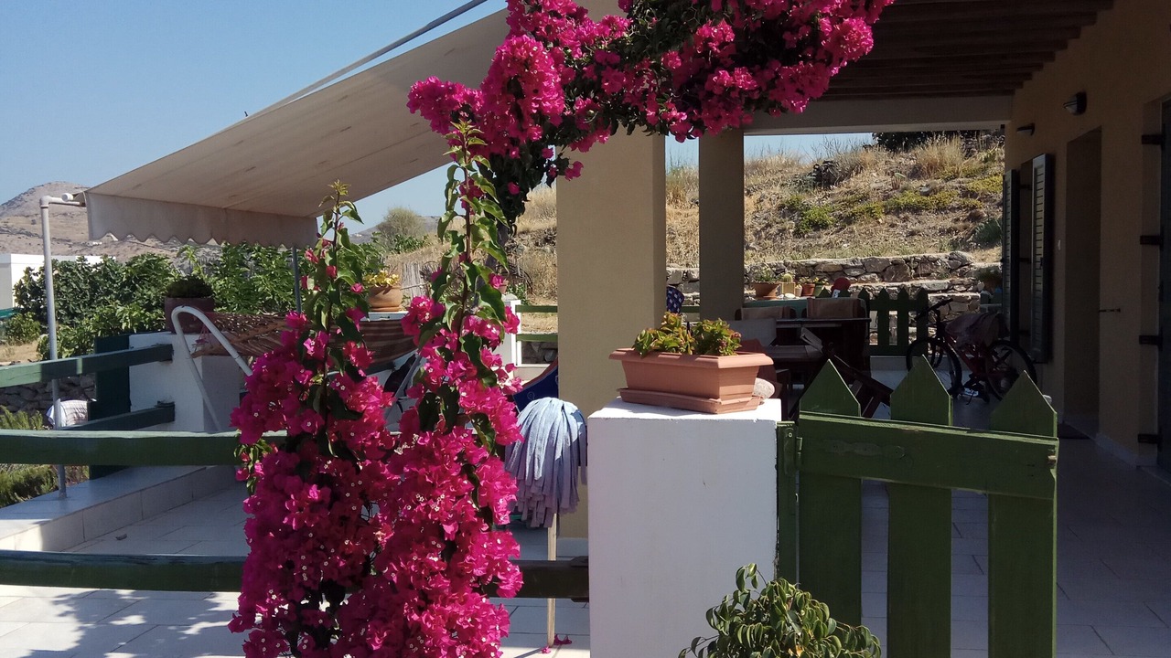 Photo of Outdoor in Mesaria
