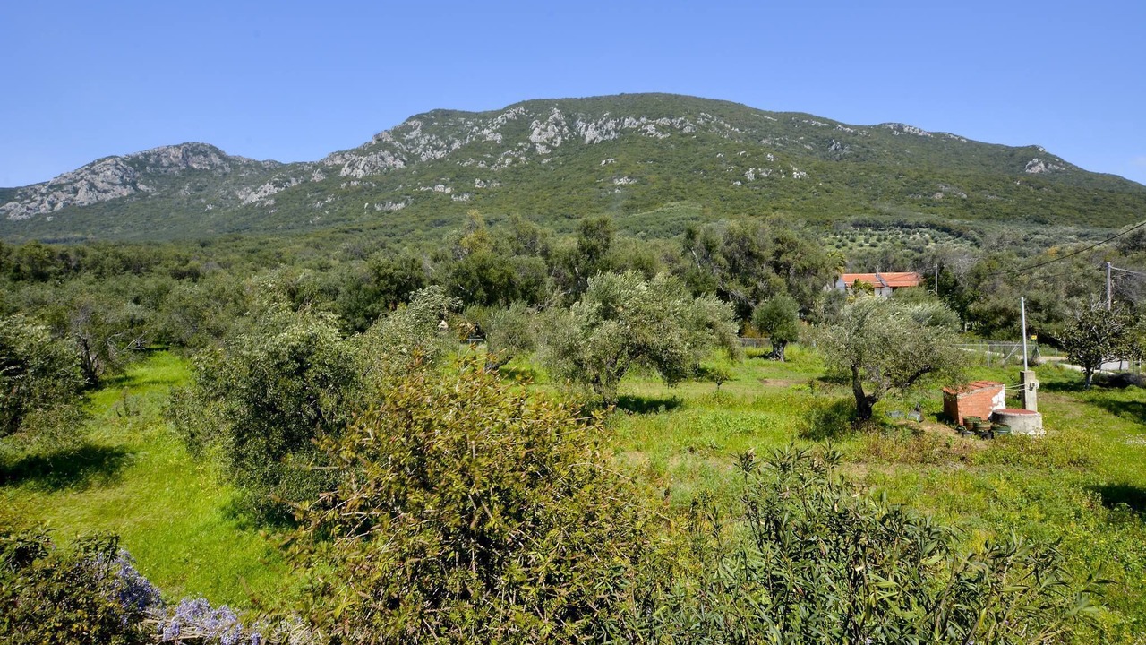 Photo of Others in Agios Matthaios