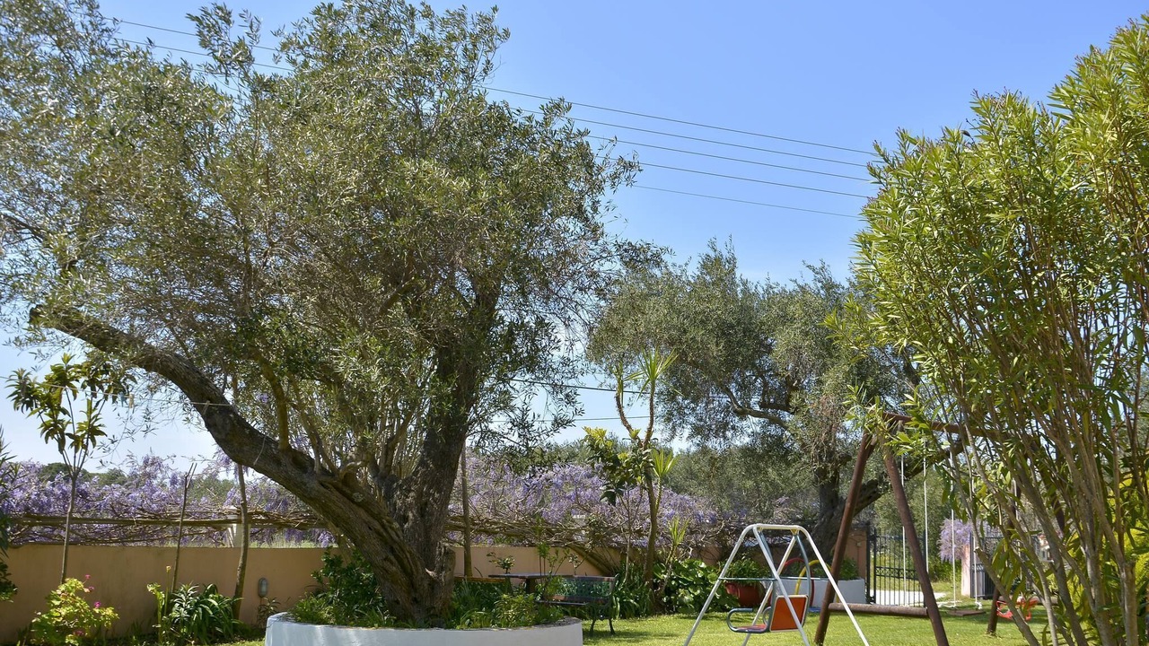 Photo of Outdoor in Agios Matthaios