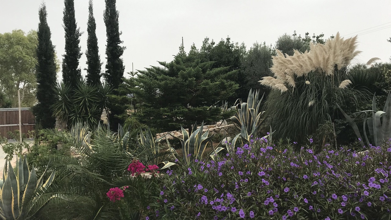 Photo of Outdoor in Kilada