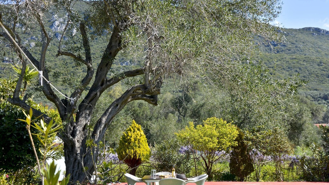 Photo of Outdoor in Agios Matthaios