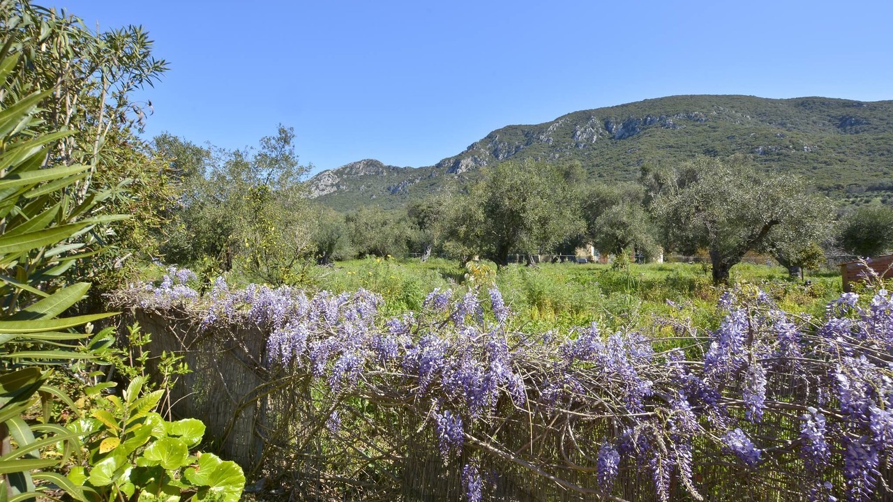 Photo of Others in Agios Matthaios