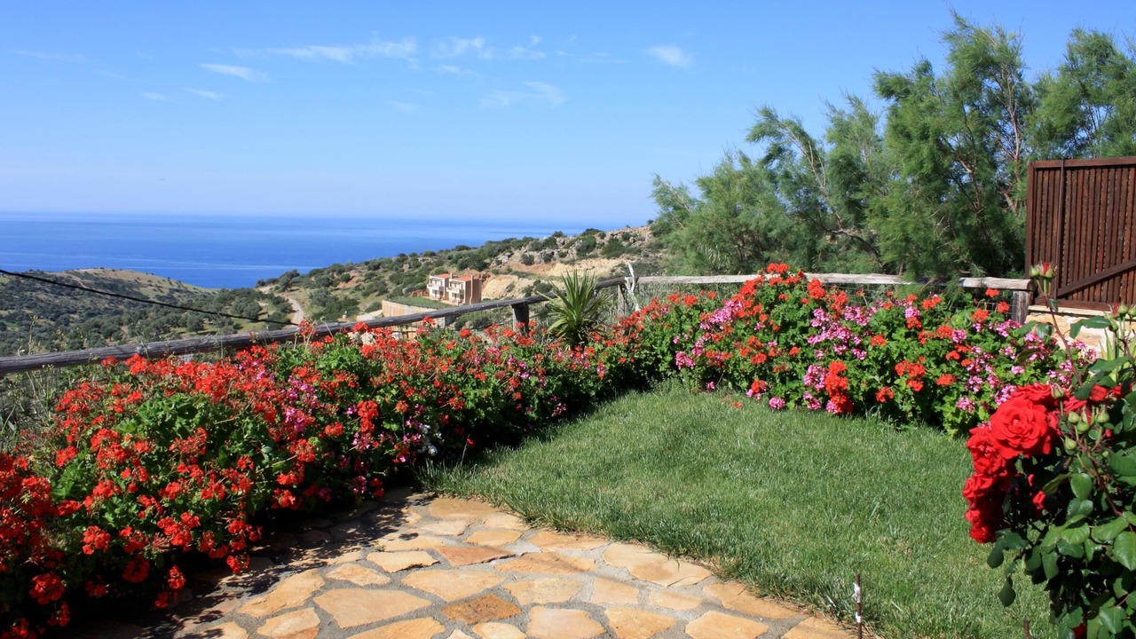 Photo of Outdoor in Triopetra