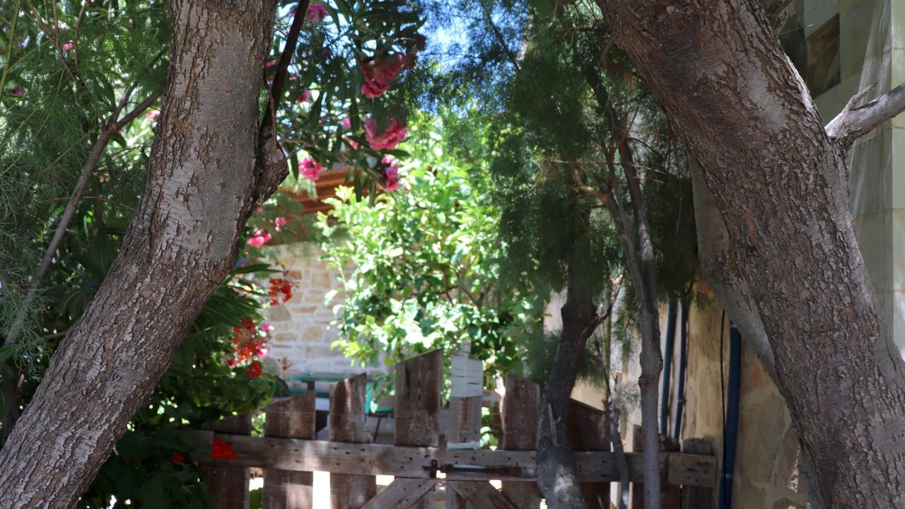 Photo of Outdoor in Triopetra