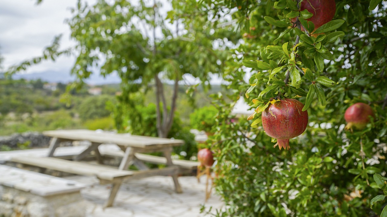 Photo of Patio Balcony in Fokiano
