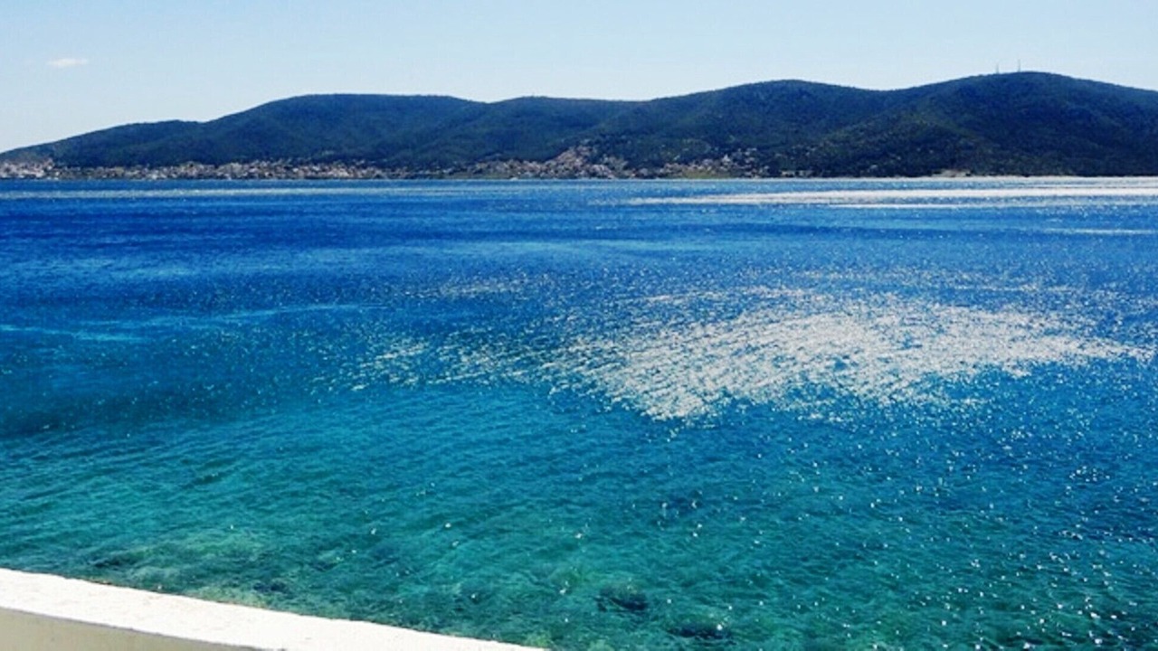 Photo of Others in Salamis