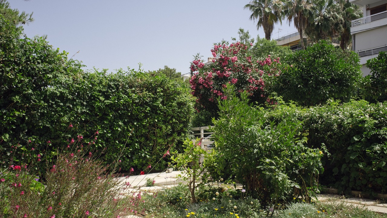 Photo of Outdoor in Vouliagmeni
