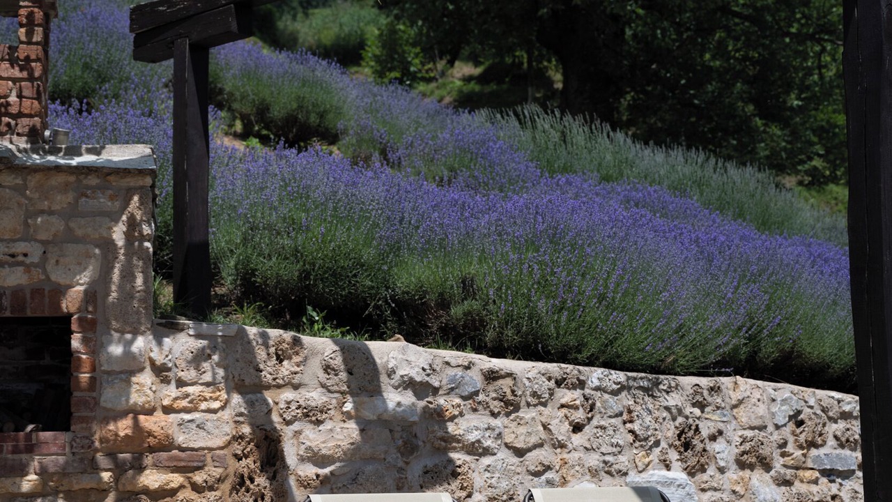 Photo of Patio Balcony in Agios Dimitrios