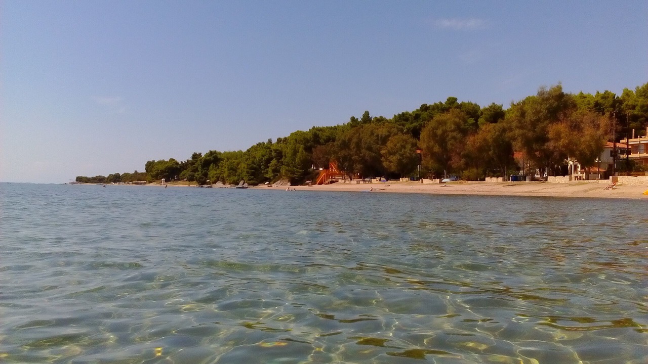 Photo of Others in Metamorfosi