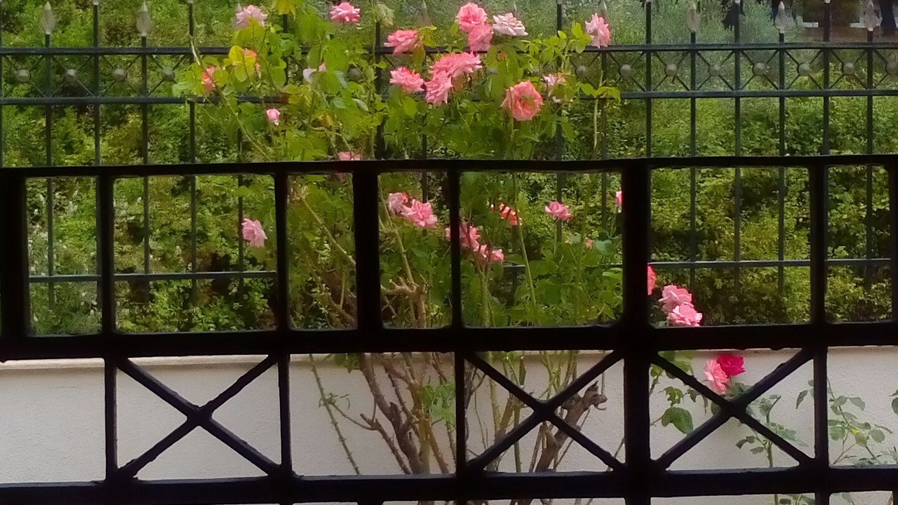 Photo of Outdoor in Metamorfosi