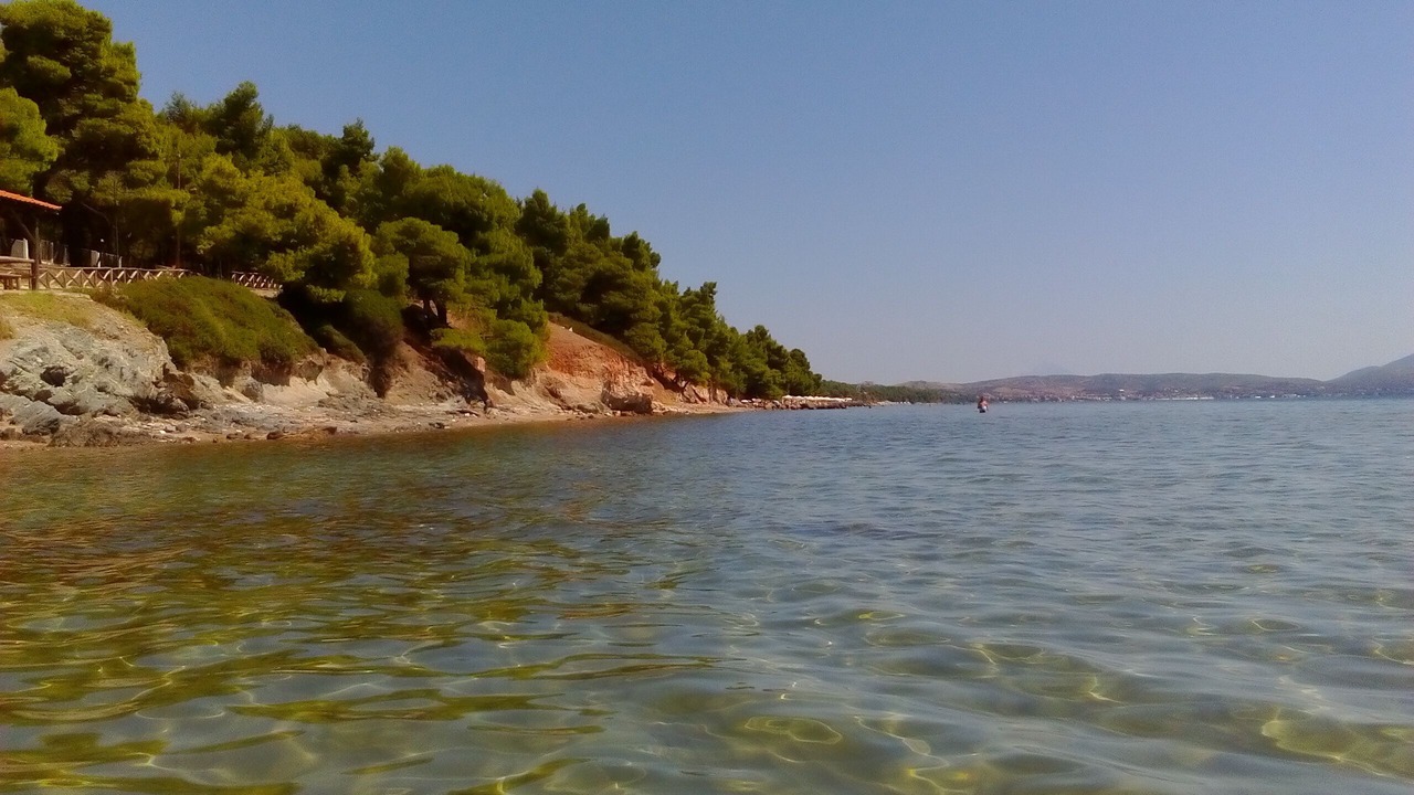 Photo of Others in Metamorfosi