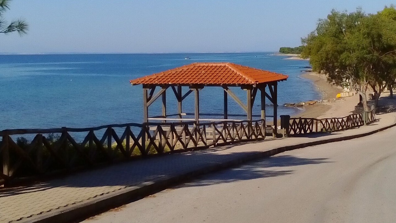 Photo of Others in Metamorfosi
