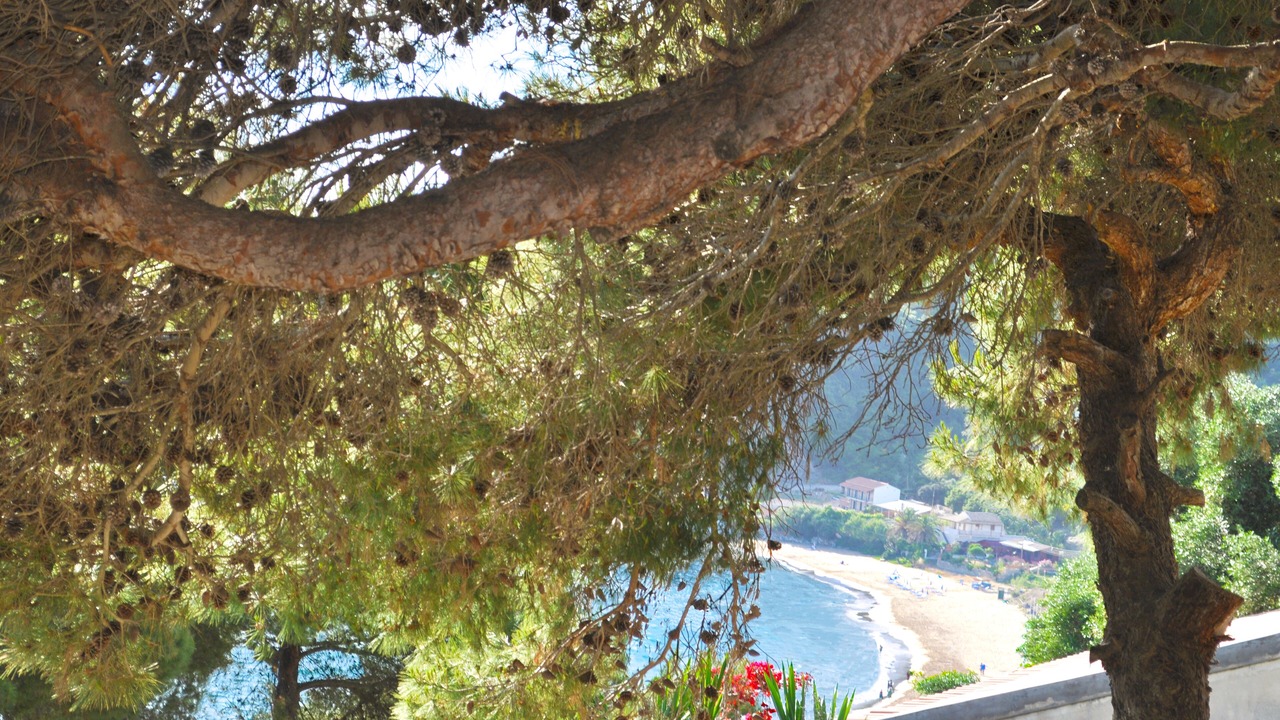 Photo of Outdoor in Sinarades