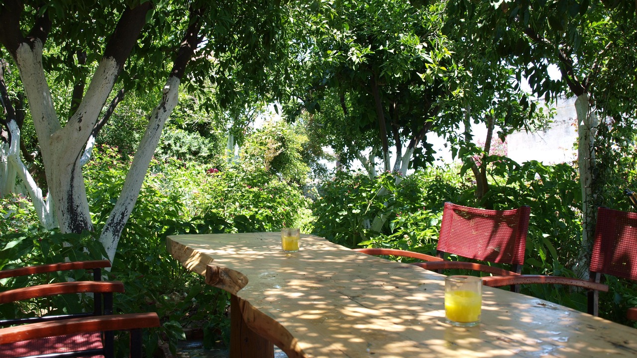 Photo of Outdoor in Pigi