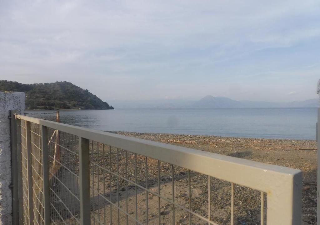 Photo of Others in Phocis Region