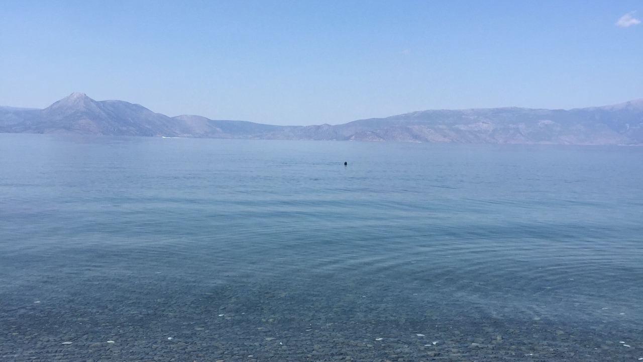 Photo of Others in Phocis Region