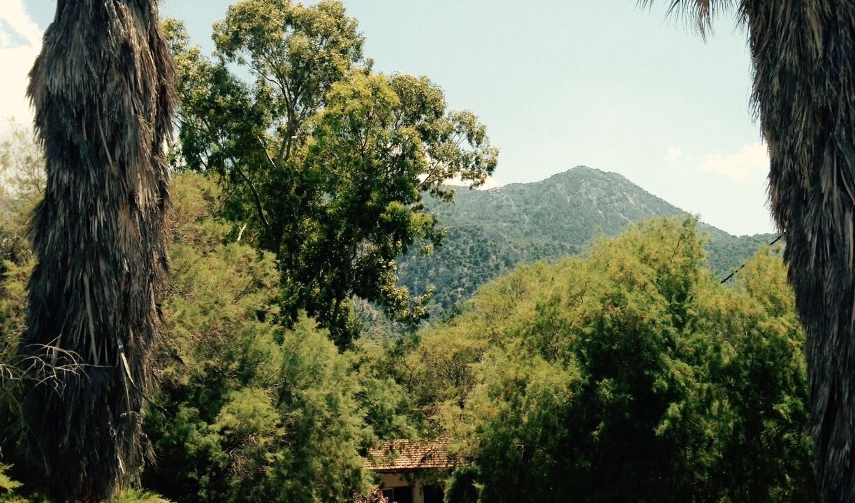 Photo of Outdoor in Phocis Region