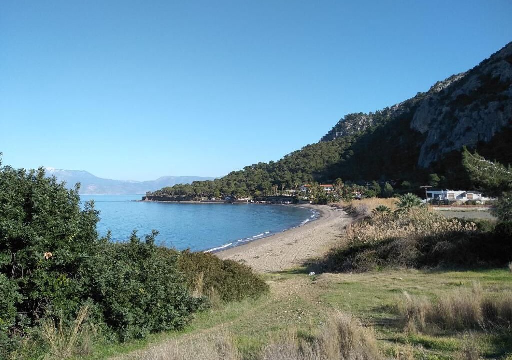 Photo of Others in Phocis Region